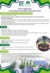 Renewable Energy IDSP Fellowship